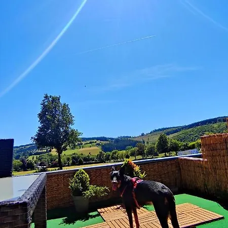 Fewo Mit Terrasse Und Bergblick- Apartment