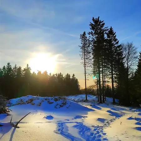 Fewo Mit Terrasse Und Bergblick-