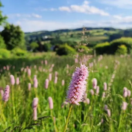 Fewo Mit Terrasse Und Bergblick-