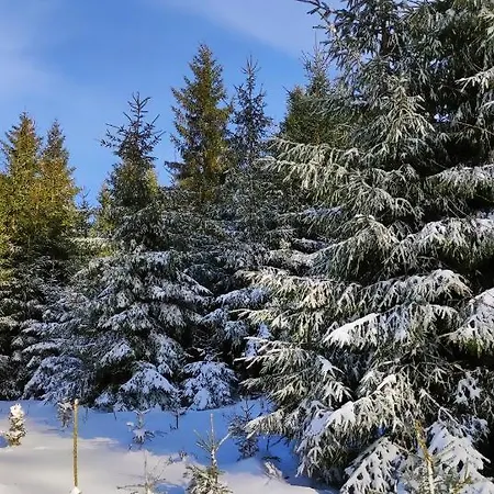 Fewo Mit Terrasse Und Bergblick- * Winterberg