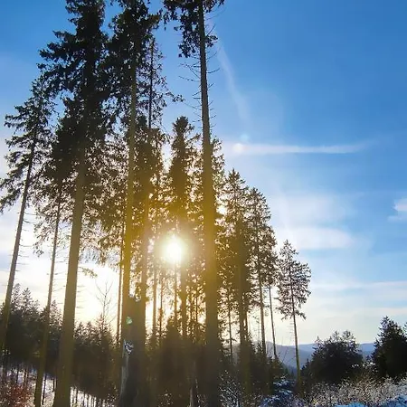 Fewo Mit Terrasse Und Bergblick- Apartment Winterberg