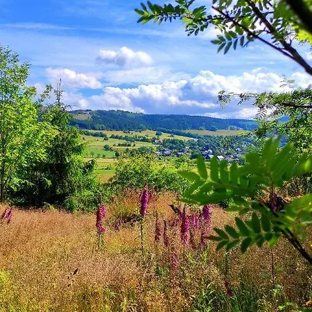 Fewo Mit Terrasse Und Bergblick- Apartment Winterberg