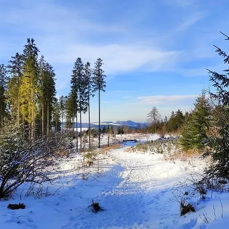 Fewo Mit Terrasse Und Bergblick- *