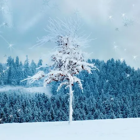 Fewo Mit Terrasse Und Bergblick- * Winterberg