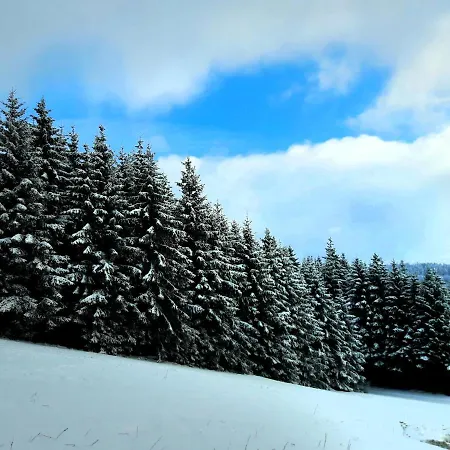 Fewo Mit Terrasse Und Bergblick- Apartment Winterberg