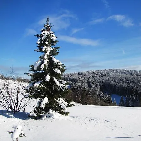Fewo Mit Terrasse Und Bergblick- Apartment